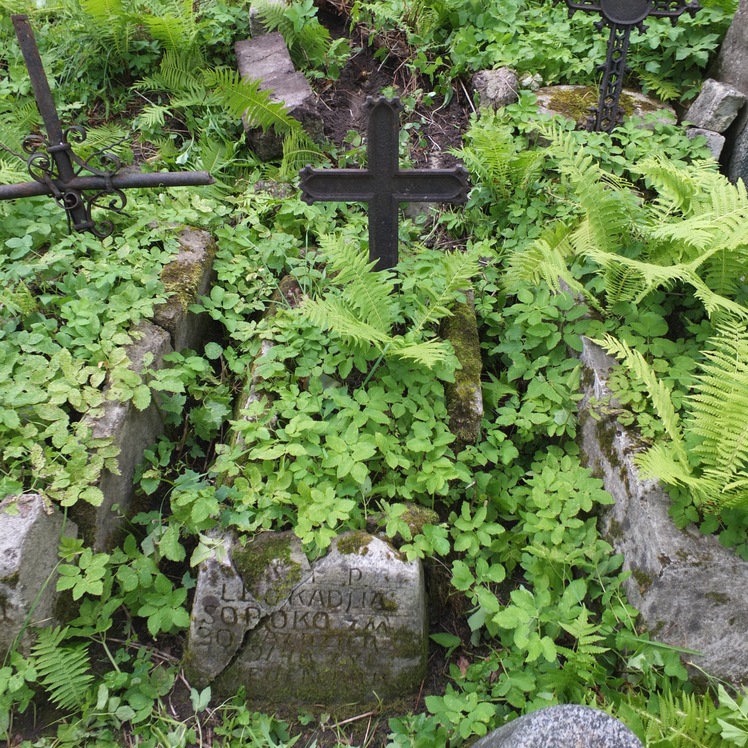 Tombstone of Leokadia Sopoko, Na Rossie cemetery in Vilnius, as of 2013