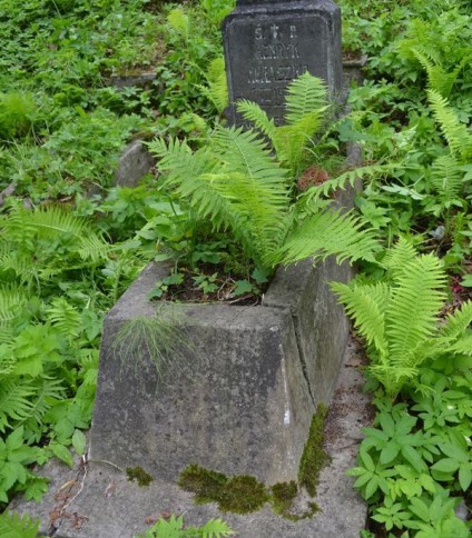 Nagrobek Henryka Muraszko, cmentarz Na Rossie w Wilnie, stan z 2013 roku