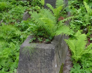 Nagrobek Henryka Muraszko, cmentarz Na Rossie w Wilnie, stan z 2013 roku