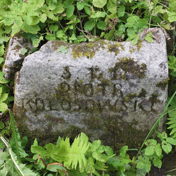 Fragment of a tombstone of Piotr Kołosowski, Na Rossie cemetery in Vilnius, as of 2013