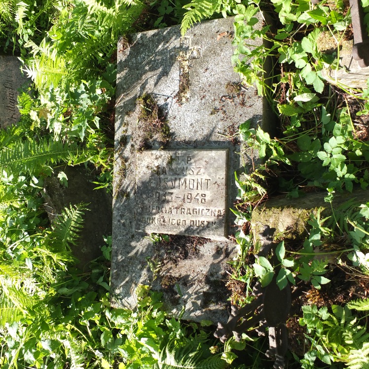 Nagrobek Tadeusza Ejsymonta, cmentarz Na Rossie w Wilnie, stan z 2013