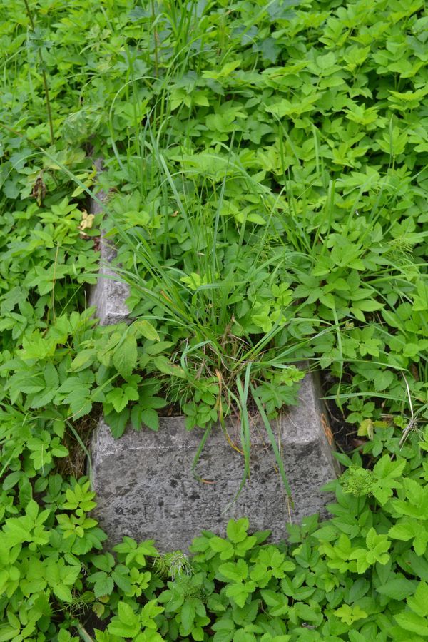Tombstone of Piotr Bierzyński, Na Rossie cemetery in Vilnius, as of 2013
