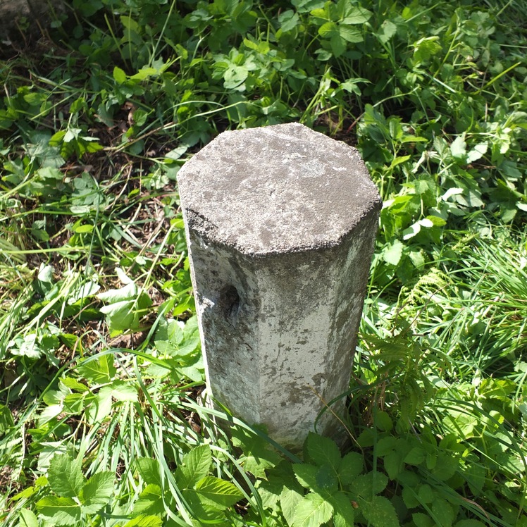 Nagrobek Konstantego Raczyckiego, cmentarz Na Rossie w Wilnie, stan z 2013