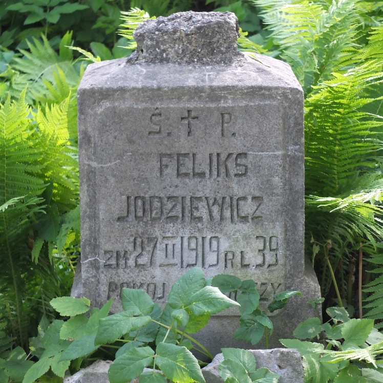 Nagrobek Feliksa Jodziewicza, cmentarz Na Rossie w Wilnie, stan z 2013