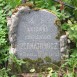 Fotografia przedstawiająca Tombstone of Antonina Bernatowicz