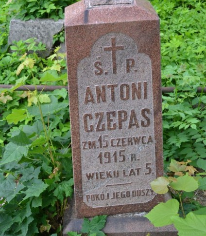 Nagrobek Antoniego i Marii Czepasów, cmentarz Na Rossie w Wilnie, stan z 2013 roku