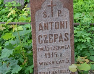 Nagrobek Antoniego i Marii Czepasów, cmentarz Na Rossie w Wilnie, stan z 2013 roku