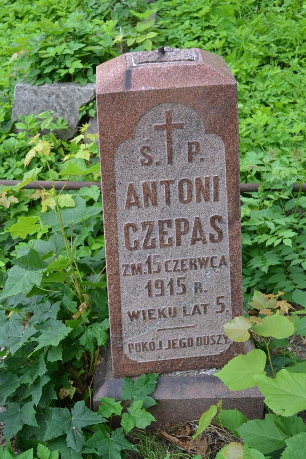 Tombstone of Antoni and Maria Czepas, Na Rossie cemetery in Vilnius, as of 2013