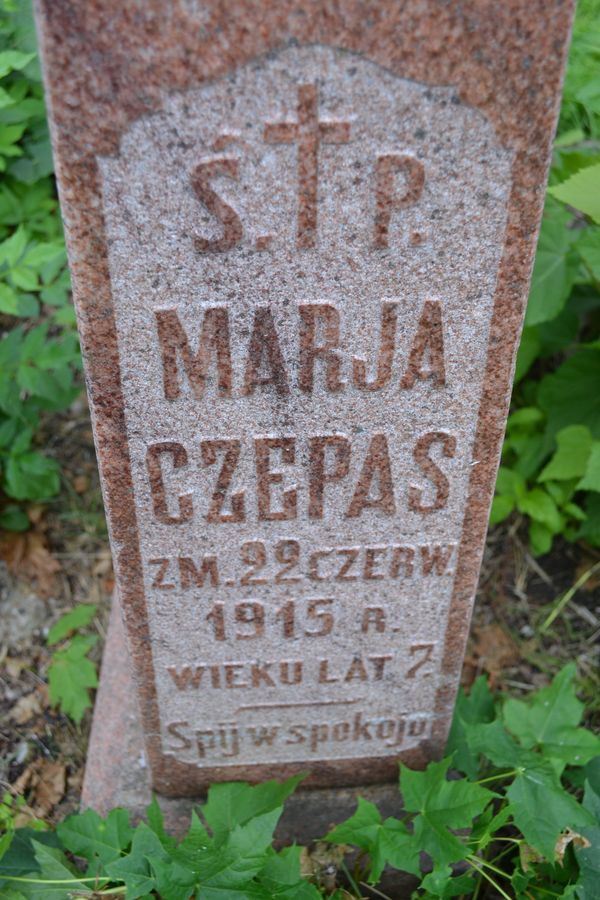 Nagrobek Antoniego i Marii Czepasów, cmentarz Na Rossie w Wilnie, stan z 2013 roku