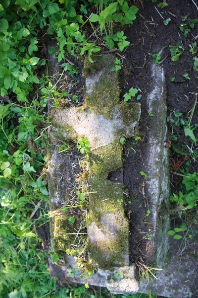 Fragment of a tombstone of Julia Rodzewicz, Rossa cemetery in Vilnius, 2013