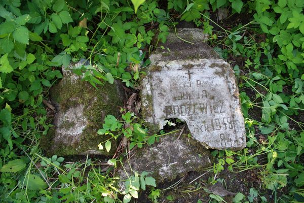 Tombstone of Julia Rodzewicz, Rossa cemetery in Vilnius, state 2013