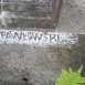 Fotografia przedstawiająca Nagrobek Marii i Witolda Nowosielskich