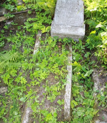 Nagrobek Ignacego Trochleckiego, cmentarz na Rossie w Wilnie, stan z 2013