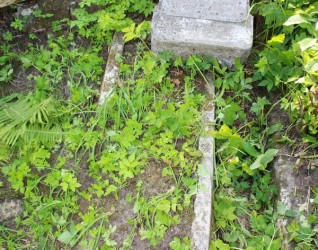 Nagrobek Ignacego Trochleckiego, cmentarz na Rossie w Wilnie, stan z 2013