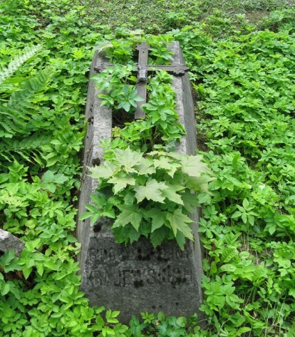 Nagrobek rodziny Krajewskich, cmentarz na Rossie w Wilnie, stan z 2013 r.