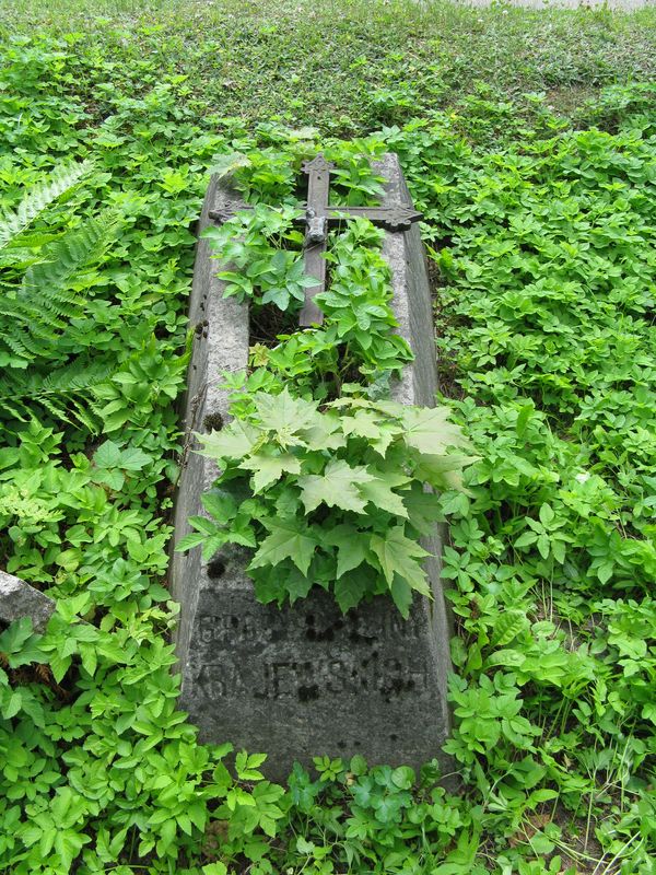 Nagrobek rodziny Krajewskich, cmentarz na Rossie w Wilnie, stan z 2013 r.