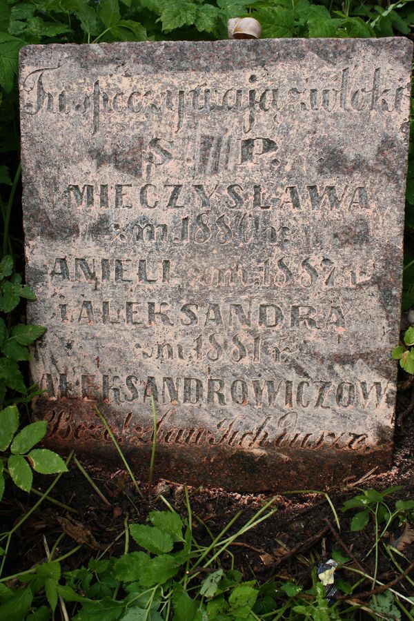 A fragment of the tombstone of Aleksander, Aniela and Mieczyslaw Aleksandrowicz, Ross Cemetery in Vilnius, as of 2013