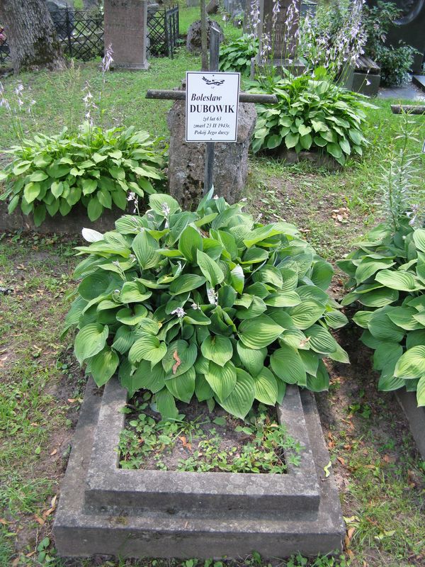 Nagrobek Bolesława Dubownika, cmentarz na Rossie w Wilnie, stan z 2013 r.