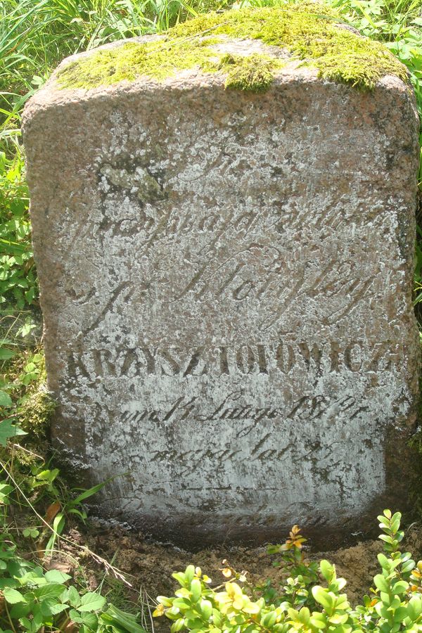 Photo montrant Tombstone of Klotylda Krzysztofowicz