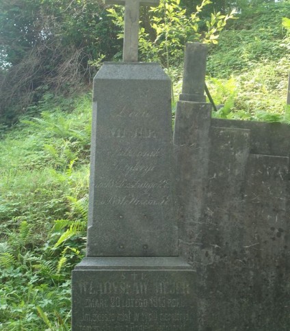 Nagrobek Leona i Władysława Mejerów, cmentarz na Rossie w Wilnie, stan na rok 2013