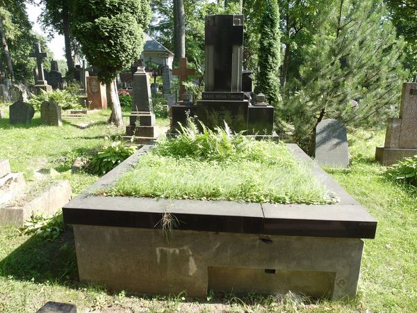 Nagrobek Kazimierza Miśkiewicza, cmentarz na Rossie w Wilnie, stan z 2013 r.