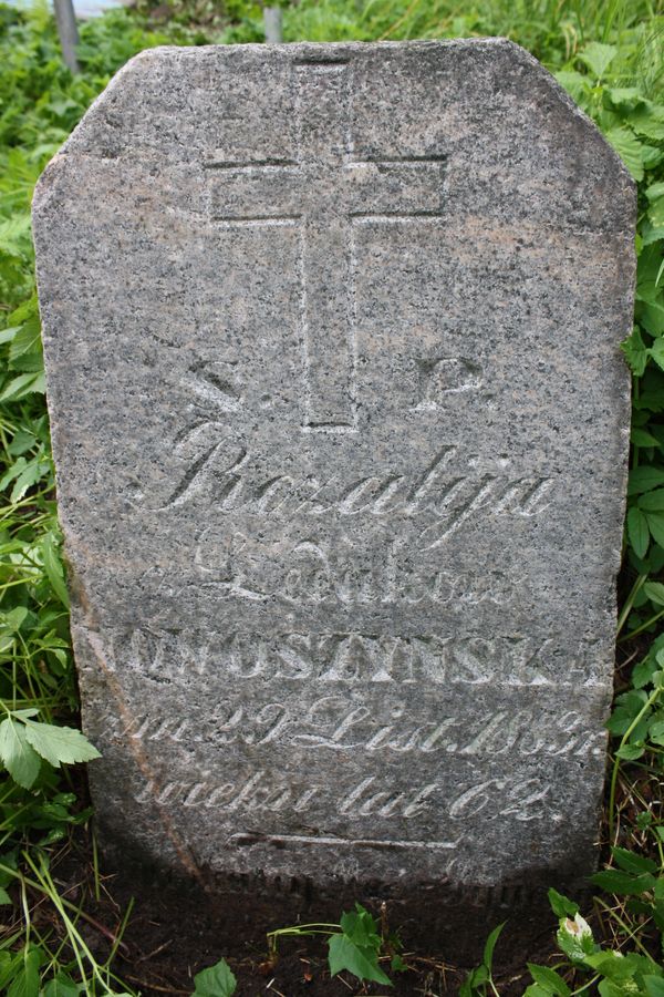 Fragment nagrobka Rozalii Nowoszyńskiej, cmentarz na Rossie w Wilnie, stan z 2013