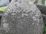 Photo montrant Tombstone of Paulina Życka
