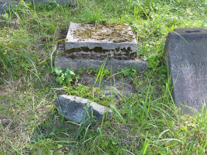 Destrukt nagrobka Julii Banel, cmentarz na Rossie w Wilnie, stan z 2013 r.