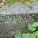 Photo montrant Tombstone of Paulina Michałowska