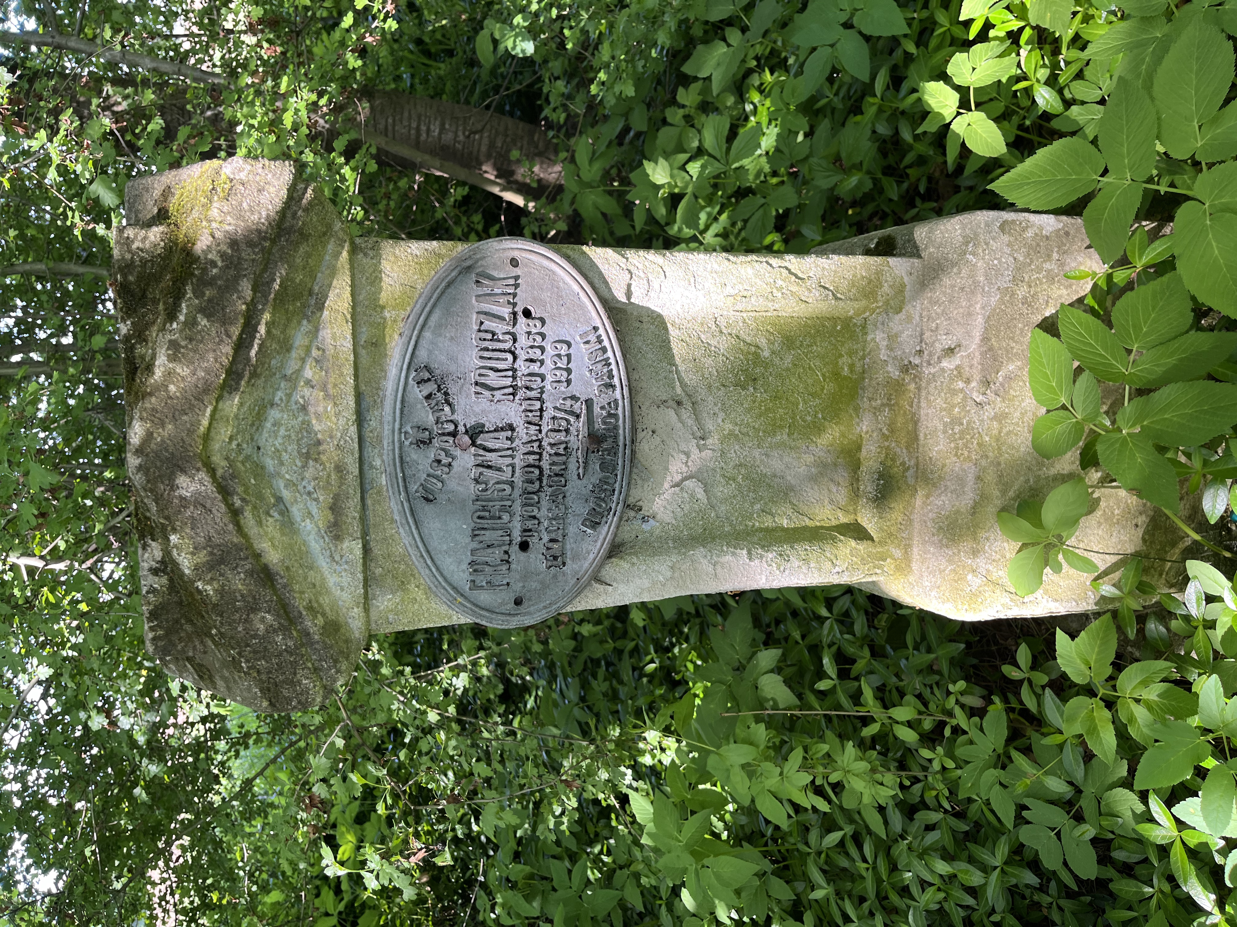 Polish tombstone of Franciszka Kroczak from 1929, surrounded by green foliage in the cemetery in Kościejów.