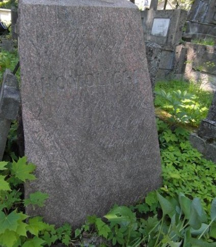 Nagrobek Michała Homolickiego, cmentarz Na Rossie w Wilnie, stan z 2013