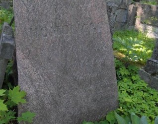 Nagrobek Michała Homolickiego, cmentarz Na Rossie w Wilnie, stan z 2013