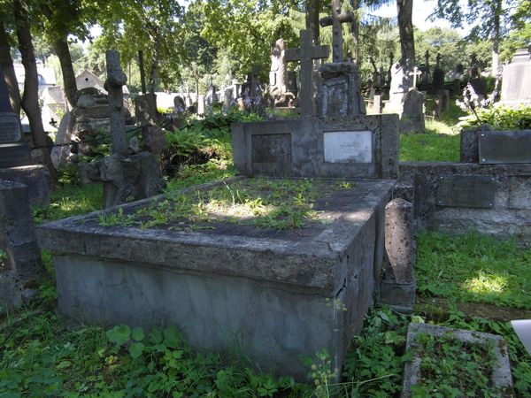 Grobowiec Szymona Miłkowskiego, cmentarz Na Rossie w Wilnie, stan z 2013