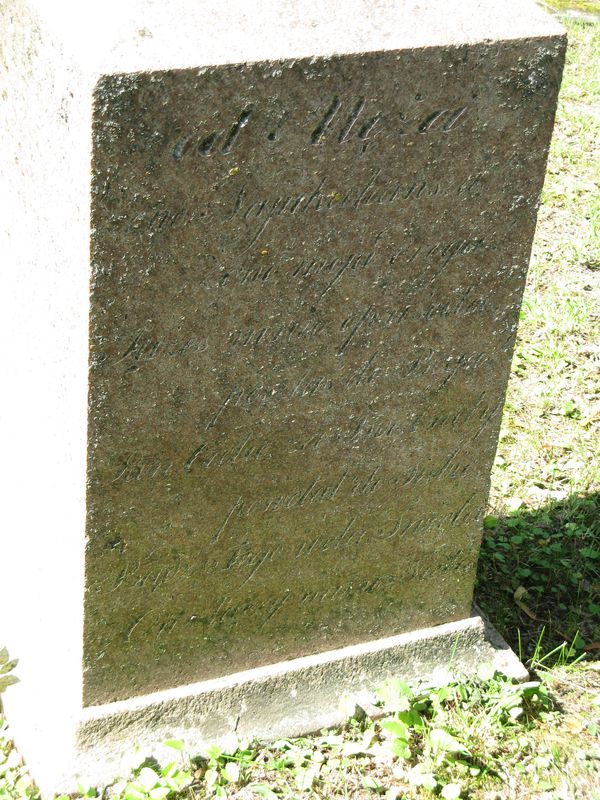 Fragment nagrobka Scholastyki Janiewicz-Janiewskiej, cmentarz na Rossie w Wilnie, stan z 2013 r.