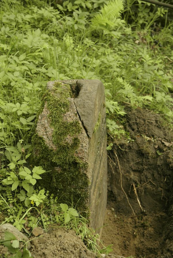 Detail of the gravestone of Gertruda and Jan Szczerbinski, Ross Cemetery in Vilnius, as of 2013