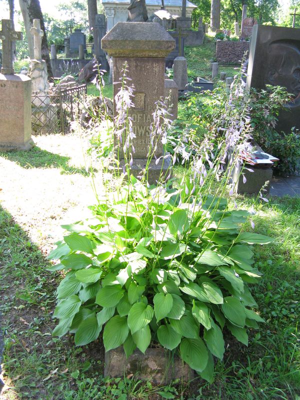 Nagrobek Zofii Sadowskiej, cmentarz na Rossie w Wilnie, stan z 2013 r.