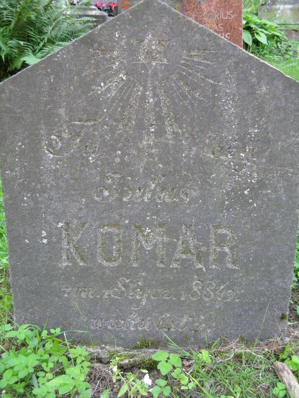 Nagrobek Juliana Komara, cmentarz na Rossie w Wilnie, stan z 2013 r.