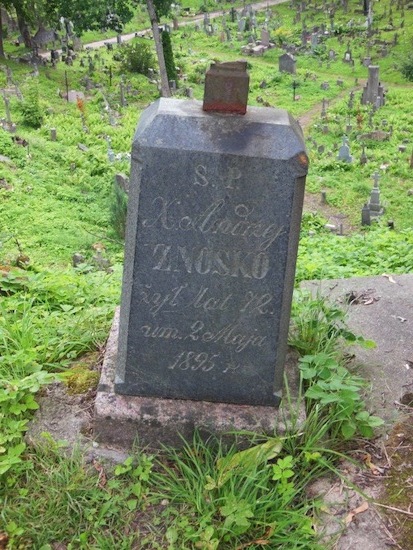 Nagrobek Andrzeja Znoski, cmentarz Na Rossie w Wilnie, stan z 2013