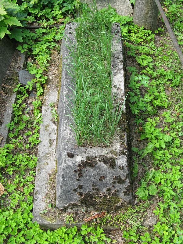 Tombstone of the Barszczewski family, Ross Cemetery in Vilnius, as of 2013.