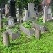 Fotografia przedstawiająca Nagrobek Zofii Barszczewskiej