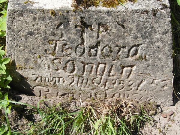 Nagrobek Teodory Songli, cmentarz Na Rossie w Wilnie, stan z 2013
