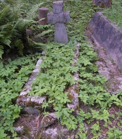 Nagrobek Jana Szyszkiewicza, cmentarz Na Rossie w Wilnie, stan z 2013