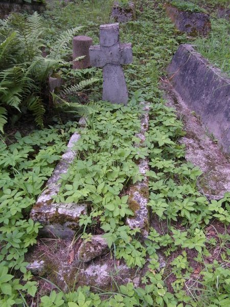 Nagrobek Jana Szyszkiewicza, cmentarz Na Rossie w Wilnie, stan z 2013