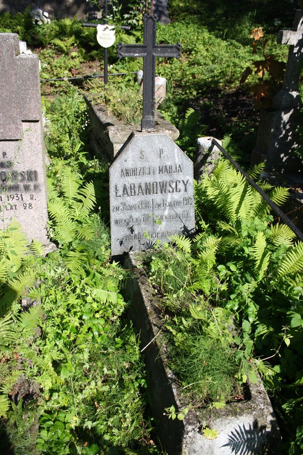 Nagrobek Andrzeja i Marii Łabanowskich, cmentarz na Rossie w Wilnie, stan z 2013