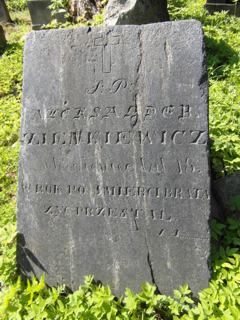 Tombstone of Aleksander Zienkiewicz, Na Rossie cemetery in Vilnius, as of 2013