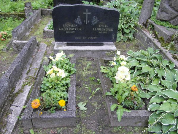 Nagrobek Leonardy Kasperowicz i Emilii Lemieszonek, cmentarz na Rossie w Wilnie, stan z 2013