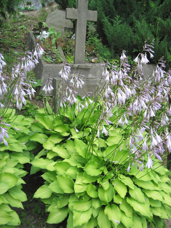 Grasilda Vishnevskaya's gravestone, Ross cemetery in Vilnius, as of 2013.