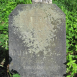 Fotografia przedstawiająca Tombstone of Felicja Bukowska