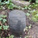 Fotografia przedstawiająca Tombstone of Kazimierz and Wacław Krupowicz