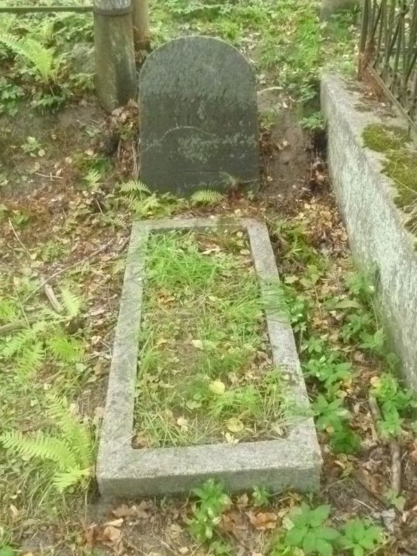 Nagrobek Michała Petrusewicza, cmentarz Na Rossie w Wilnie, stan z 2013 r.